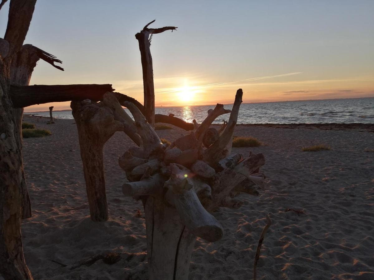 Hébergement de vacances Strandhaus Florimar