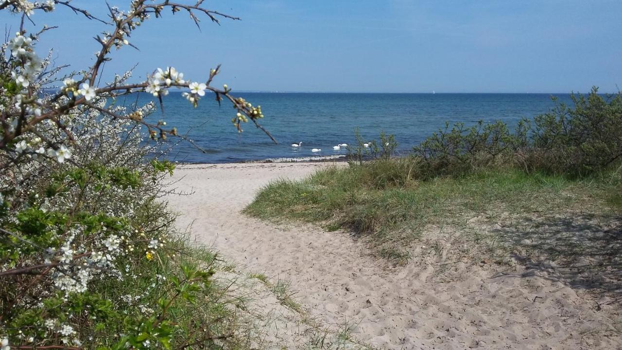 Strandhaus Florimar